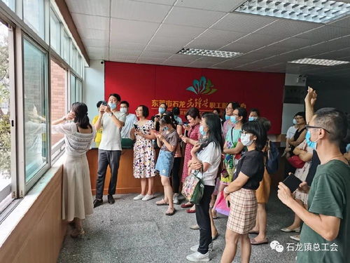 理论 实操,石龙工会举办的这个手机摄影培训干货满满